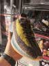 阿迪达斯 男女鞋Yeezy380蓝宝石椰子 休闲运动跑步鞋 GZ0454 44 实拍图