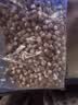 十月稻田 芡实 400g  圆粒红皮鸡头米 鸡头果 五谷杂粮粗粮 炖汤煲粥材料 实拍图