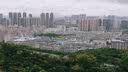 pack all鞋袋收纳包 旅行出差鞋子收纳袋防尘鞋袋子球鞋运动鞋包 大码灰色 实拍图