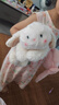 名创优品（MINISO）塔尼兔系列趴姿公仔毛绒玩具玩偶兔子娃娃抱枕生日礼物儿童节礼物 实拍图