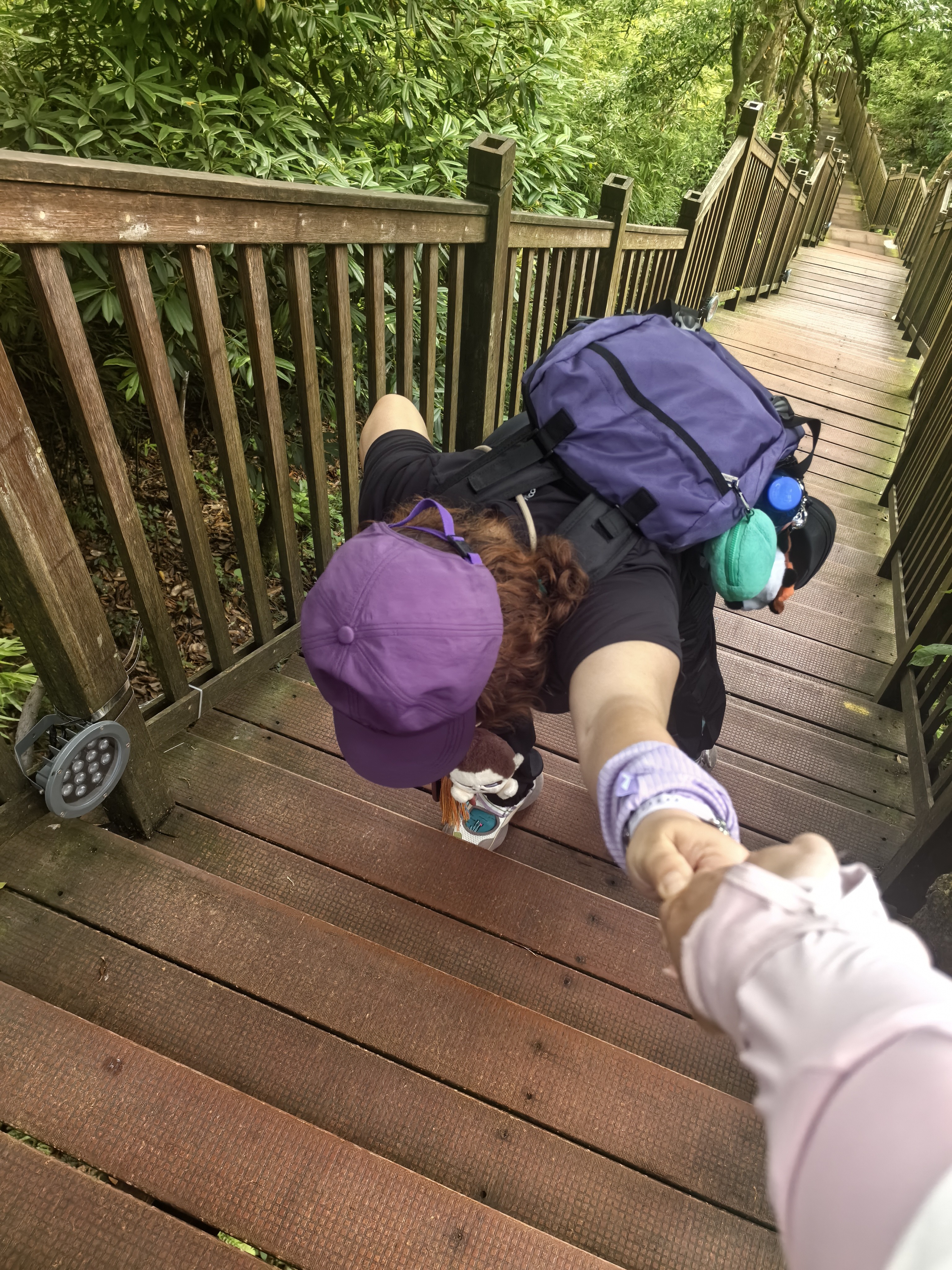 Landcase背包双肩包男大容量旅行包出差登山包户外轻便女书包8051紫色小号 实拍图