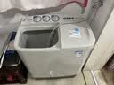 美的（Midea）半自动双桶洗衣机8公斤洗5.5kg脱水双缸波轮老人简易操作品质电机小巧不占地租房宿舍必备以旧换新 半自动 双缸 8kg 实拍图