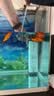 森森鱼缸过滤器三合一内置小型水族箱过滤系统增氧泵XQP-1000F 15W 实拍图