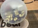 方家铺子红豆薏米纤纤茶600g三伏祛赤小豆薏米芡实湿茯苓养生茶30罐送父母 实拍图