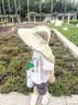 Kocotreekk树儿童防晒帽大帽檐护颈夏季宝宝遮阳帽男女童防紫外线沙滩 实拍图