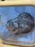 霍曼宠物烘干箱Pro 猫咪吹风机狗狗自动吹干箱底部出风快速烘干更安静 实拍图
