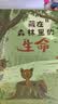 自然科学与生命教育 这是谁的家+藏在森林里的生命（共2册）儿童绘本3-6岁幼儿园推荐早教书睡前故事书百科全书儿童书儿童节礼物 实拍图