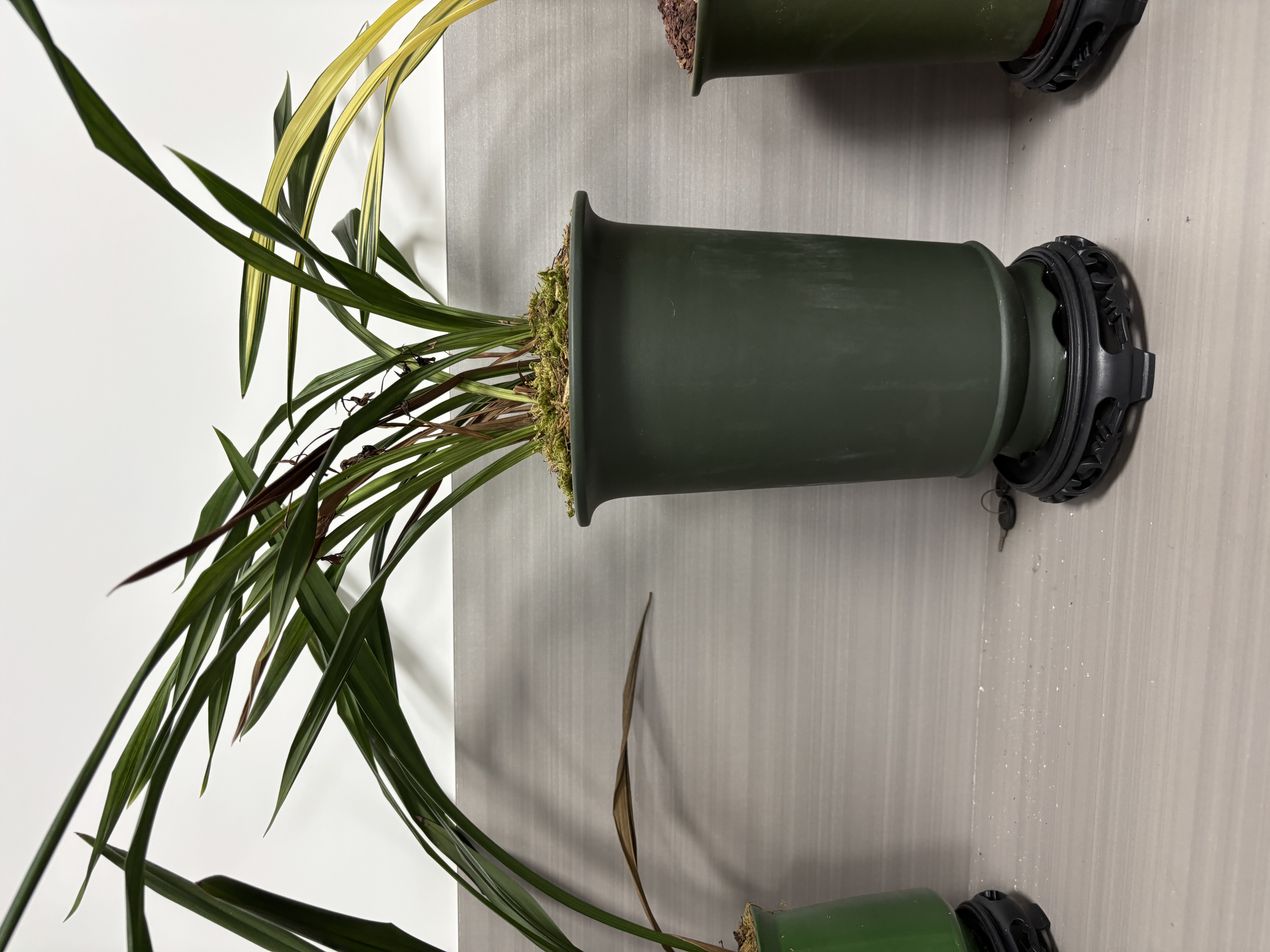 希诺双层玻璃杯男家用商务办公泡茶杯子过滤车载水杯XN-9301 265mL 实拍图
