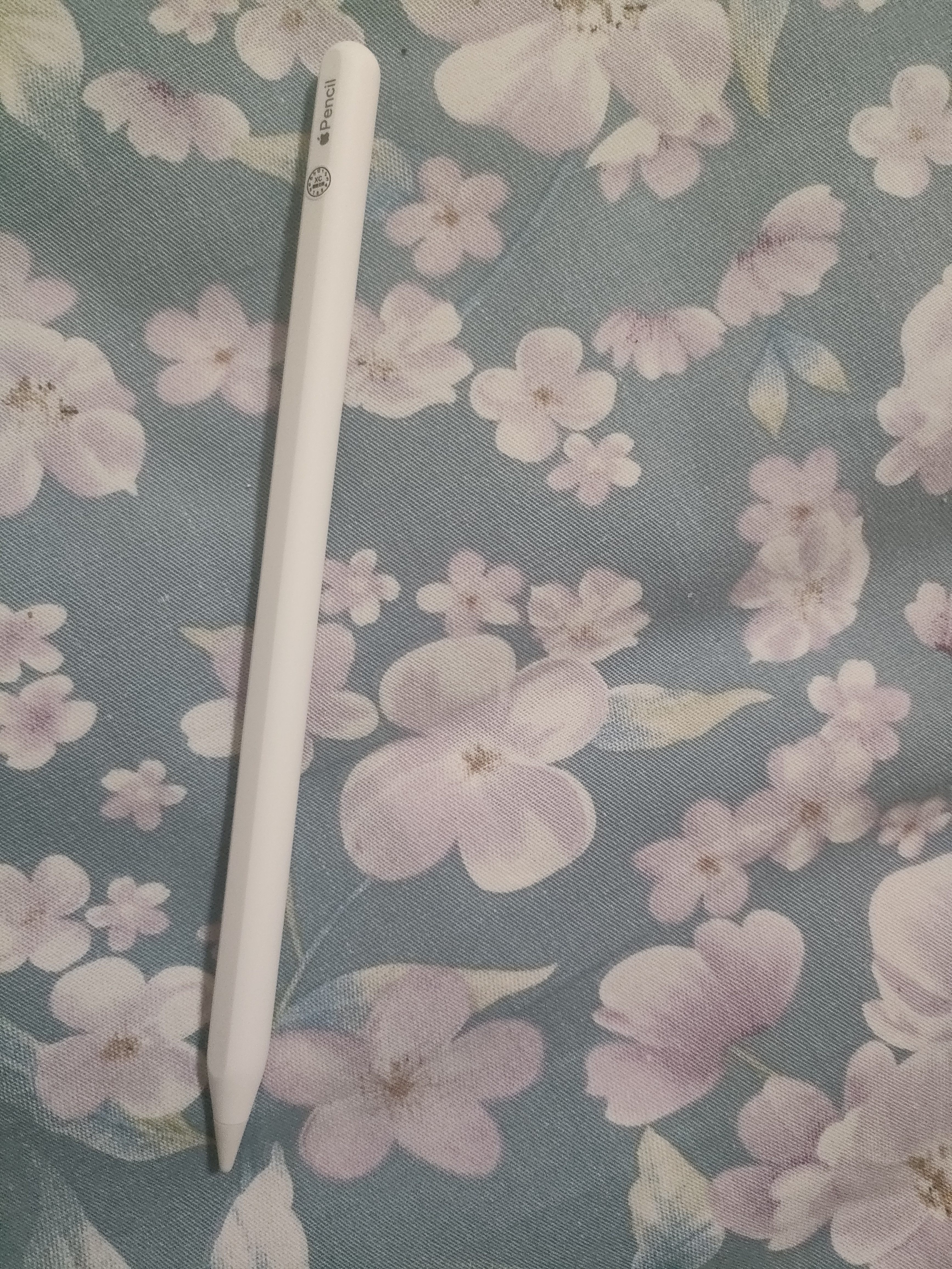 苹果Apple Pencil 一代/二代 苹果手写笔二手苹果手写笔/电容笔/触控笔二手平板电脑配件 苹果Pencil 二代手写笔+备用笔尖【99新】 实拍图