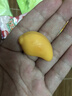 阿麦斯皮乐士剥皮糖 508g/袋 趣味网红糖果 儿童休闲零食 软糖 实拍图