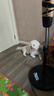 小红栗吹水机宠物吹风机狗狗吹水机吹毛吹干神器低噪大功率大型犬 实拍图
