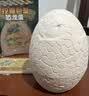 马丁兄弟儿童考古挖掘恐龙玩具恐龙蛋恐龙化石手工DIY玩具 生日礼物 实拍图