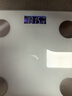 安踏体脂秤  电子秤 体重秤人体秤精准测量 26项健康指标减肥专用智能 真四电极检测 实拍图