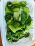 格力（GREE）【花精灵Se毕雯珺同款】一级能效直流变频轻音节能遥控电风扇卧室落地扇大风量静音家用风扇 实拍图
