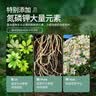 史丹利营养土养花通用型家用多肉兰花专用土泥炭土壤种植土花土10L 实拍图