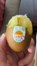 佳沛（zespri）新西兰阳光金奇异果16粒礼盒经典果单果 88-103g  猕猴桃水果礼盒 实拍图
