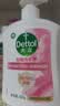 滴露（Dettol）洗手液抑菌消毒滋润500g+500g 补充装 儿童家庭护手替换装 实拍图