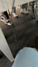 猫人【医护级首次免洗】女士内裤女纯棉抑菌中腰无痕大码少女三角裤 实拍图