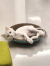 【京东快递】猫抓板磨爪猫窝椭圆形猫抓盆猫抓板巨大耐磨特大号 大号猫爪板40*40【10斤内 随机花边】 下单送猫薄荷 实拍图