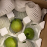 精选红香酥梨新鲜水果当季薄皮香梨青皮酥梨脆蜜雪梨酥梨整箱包邮 试吃小果净重3斤 实拍图