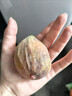 潮夫道鱼籽福袋150g*2 火锅食材关东煮包心鱼丸鱼豆腐烧烤麻辣烫 实拍图