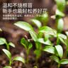 史丹利园艺骨粉颗粒500g 花肥料促花养花高磷高钾脱脂开花种菜蔬菜用 实拍图