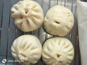 思念香辣豆腐粉条包320g*3袋共12只包子馒头儿童早餐速冻半成品 实拍图