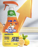 威猛先生（Mr Muscle） 油污清洁剂 455g+455g替换装 柑橘香 厨房重油污净 实拍图