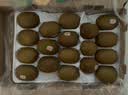 佳沛（zespri）新西兰 阳光金果18粒超大果原箱单果175-204g 猕猴桃水果礼盒 实拍图
