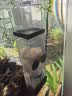 森森鱼缸油膜处理器除油污器水族箱水草内置过滤器过滤设备JY-03 5W 实拍图