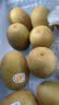 佳沛（zespri）新西兰阳光金奇异果巨大果22粒原箱单果146-175g 猕猴桃水果礼盒 实拍图