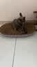 【京东物流】猫抓板磨爪猫窝一体耐磨不掉屑超大号猫玩具猫咪用品 椭圆巨无霸+猫薄荷 实拍图