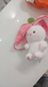 尚韵送朋友情人节生日礼物女生草莓兔子玩偶娃娃儿童毛绒玩具女孩公仔 实拍图
