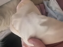 十月结晶孕妇内裤低腰棉孕早中期孕晚期孕产妇托腹内裤女4条装 XL码 实拍图
