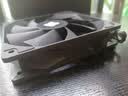 利民（thermalright）TL-C12C 黑色12cm入门级风压扇 经典磁稳S-FDB轴承 50CM 4PIN串接PWM接头 1550转速 实拍图