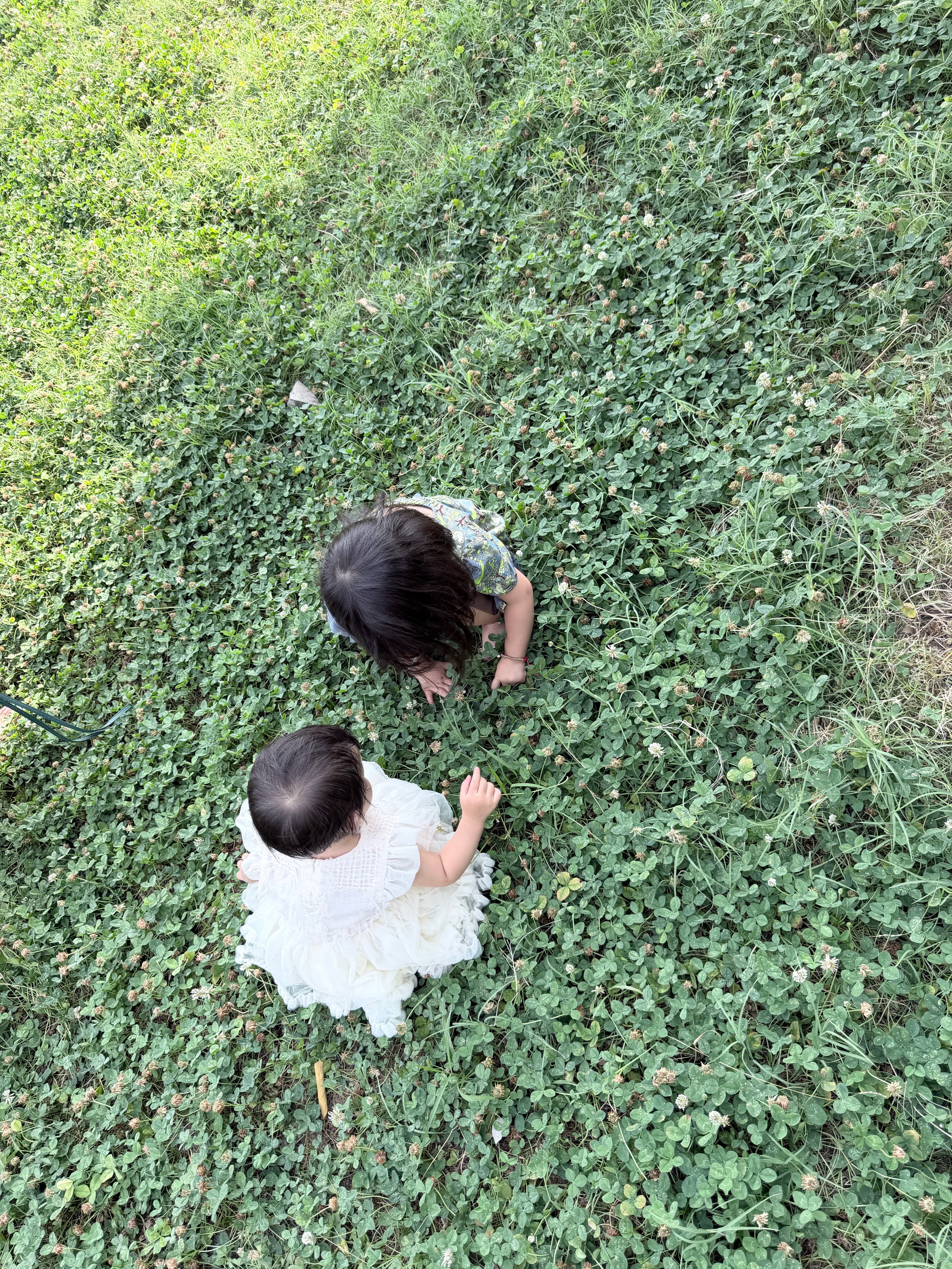 天然博士双A藻油40粒盒装*2 李思思同款DHA+ARA金标藻油 dha婴幼儿0-3岁  实拍图