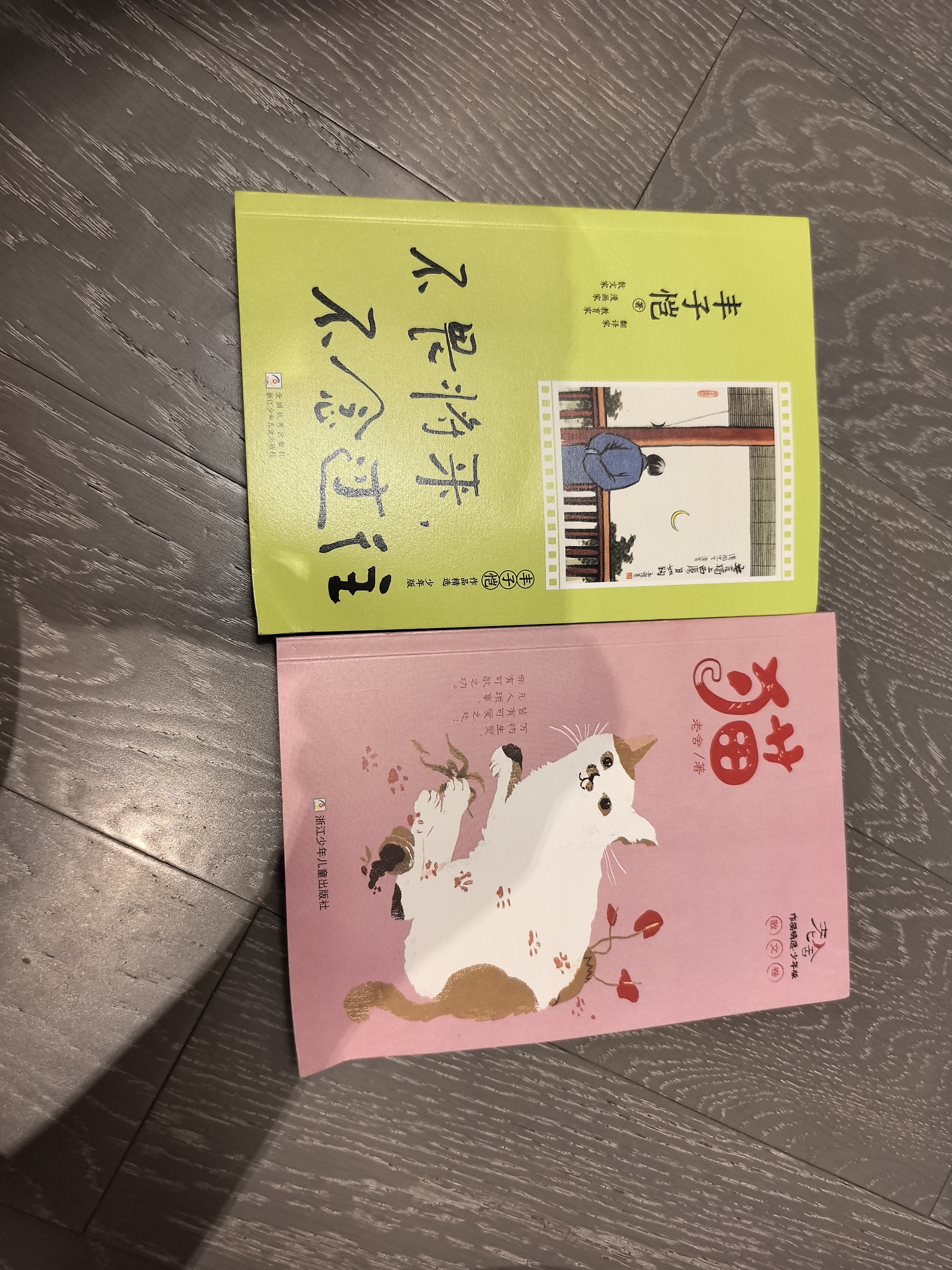 全5册 城南旧事正版林海音繁星.春水呼兰河传萧红著骆驼祥子老舍完整版小学四五六年级阅读课外书 实拍图