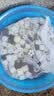 鱼缸过滤材料鱼缸滤材石英球火山石水族箱细菌屋净水陶瓷环活性炭 十六合一高配版【5斤】送硝化细菌 实拍图