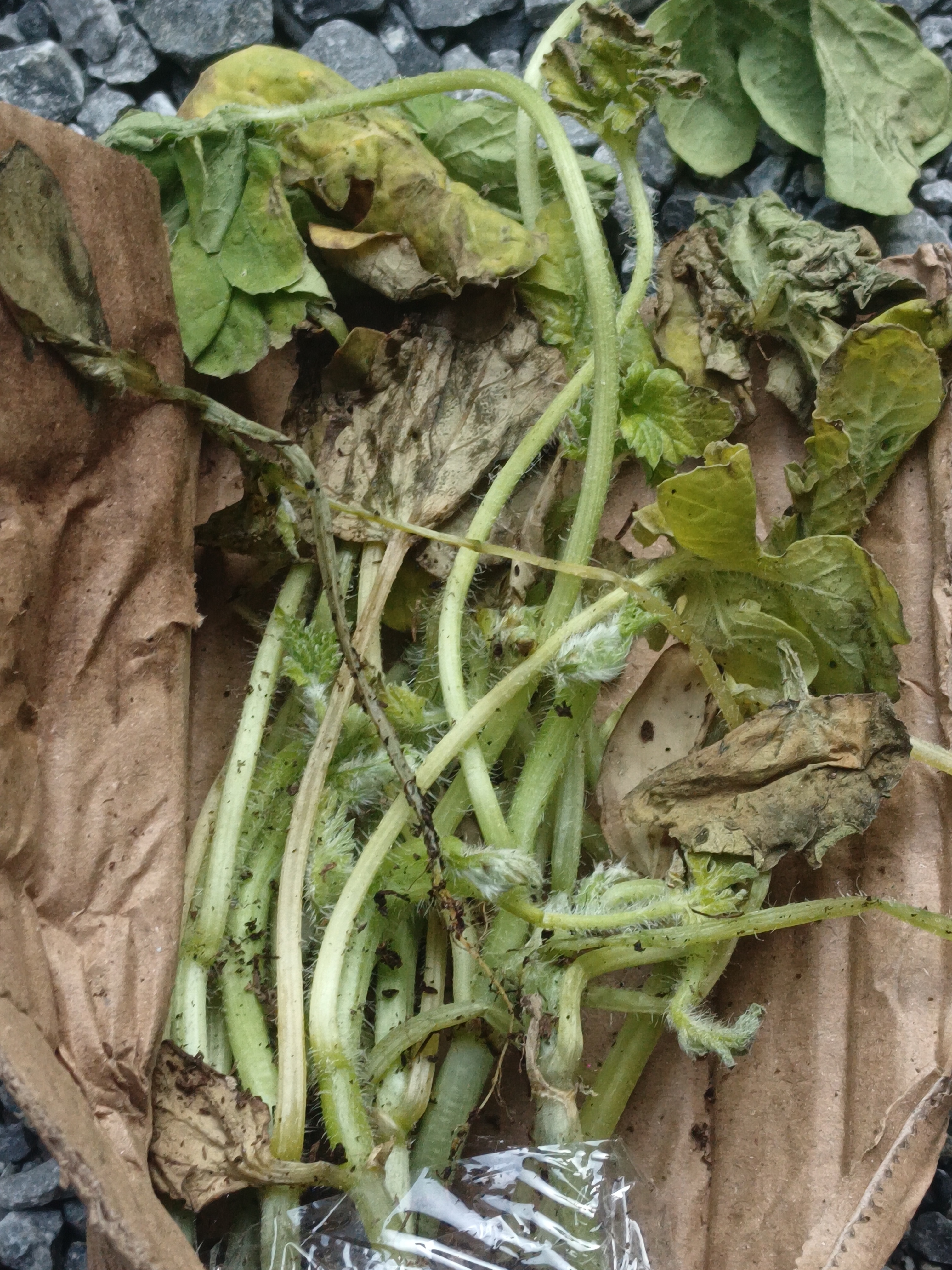 绿林（GREENER）不锈钢工具箱三层折叠家用加厚手提式铁皮工业级收纳盒多功能 实拍图