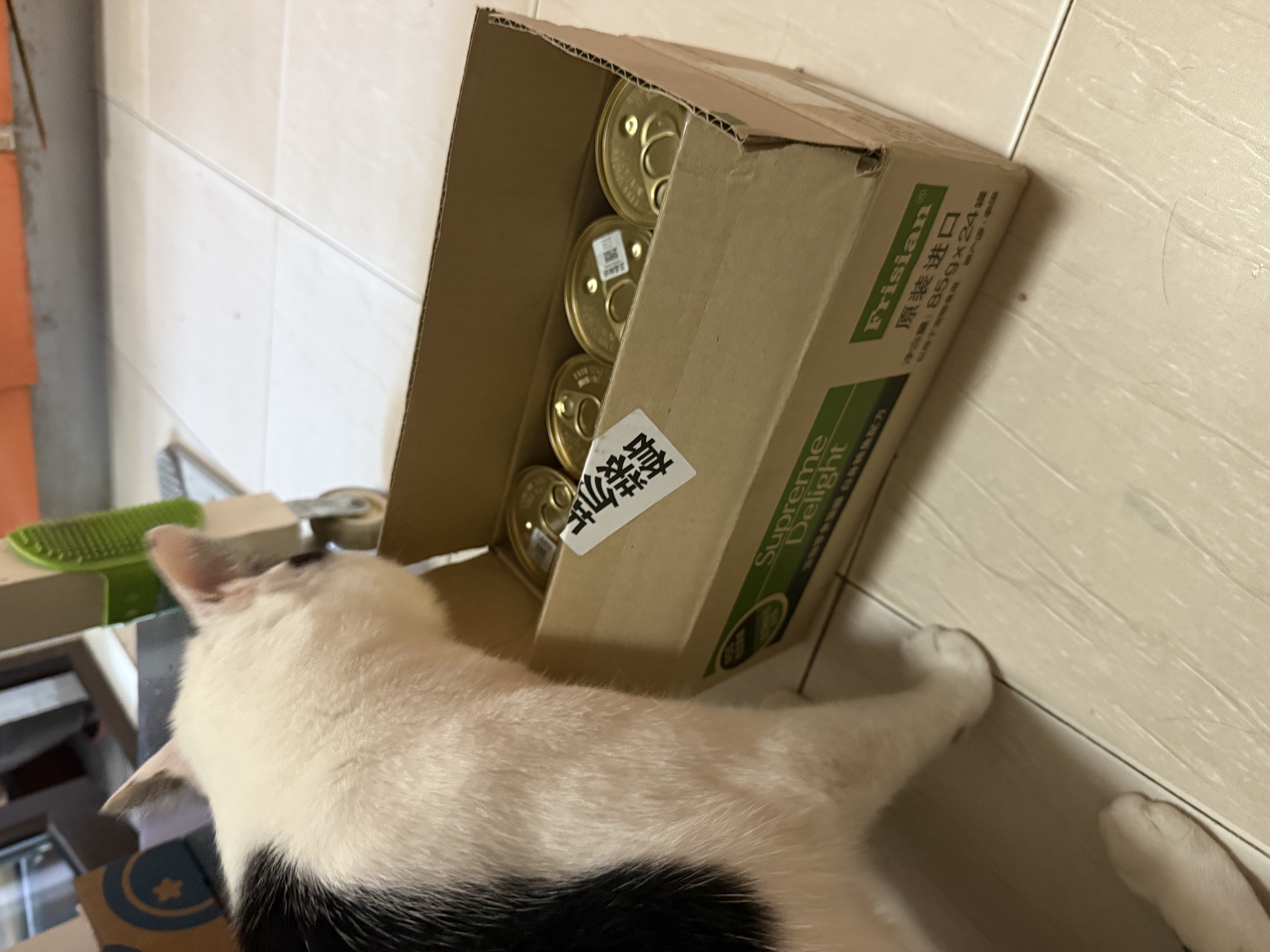 富力鲜（Frisian）泰国进口 猫罐头85g*24罐白身鲔鱼罐头成猫宠物猫粮零食湿粮 实拍图