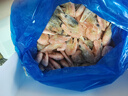 禧美海产海藻头北极甜虾净重1kg/盒 黑头虾 MSC认证 90-120+规格 海鲜 实拍图