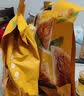 五芳斋粽子  中华老字号嘉兴粽特产早餐零食 美味猪肉粽100克*2只 实拍图