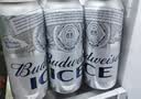 百威冰啤酒500ml*18听整箱装【99%好评】京东自营 实拍图