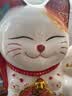 板谷山招财猫存钱罐储蓄罐家居礼品摆件创意儿童女朋友女孩生日礼物套装 实拍图