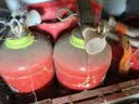 格兰仕（Galanz）变频微波炉烤箱一体机光波炉900瓦大功率速热家用23L大容量平板易清洁省电一级能效智能菜单烧烤 2026新升级彩膜BM1(S2) 实拍图