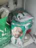 凯锐思 贵宾泰迪狗粮 小型犬粮成幼犬通用型天然奶糕宠物狗粮囤货装 【骨节有力】贵宾老年犬专用 10kg 实拍图