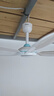 美的（Midea） 小吊扇小型电风扇蚊帐扇家用学生宿舍风扇床上风扇轻音电风扇吊式小电扇 FC45-EB 机械旗舰款 实拍图