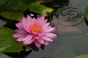 适马（SIGMA）Art 85mm F1.4 DG DN 全画幅微单 大光圈定焦镜头 人像肖像特写（索尼E卡口） 实拍图