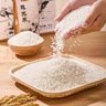 1号会员店东北大米越光米 500g 一级粳米 寿司米 香米 圆粒米【当季新米】 实拍图
