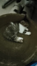 疯狂的主人猫抓板窝碗形大号猫抓盆不掉屑猫窝宠物猫玩具瓦楞纸猫爪板 实拍图